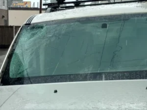 windshield